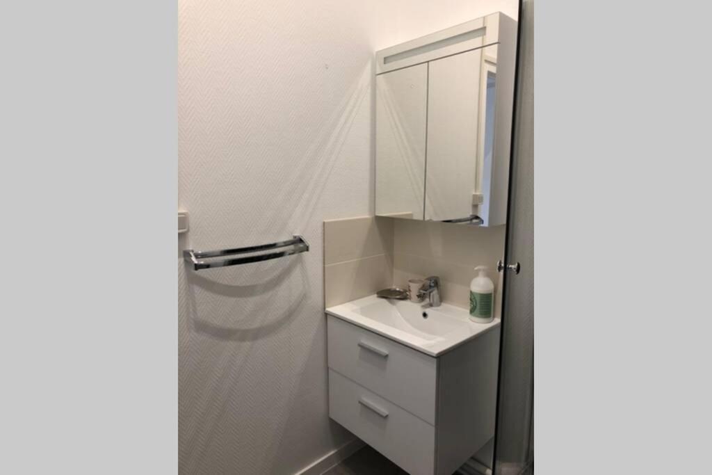 Villa Camelia Quartier Thermal Grand Studio Au Calme Виши Экстерьер фото